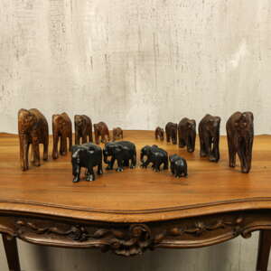 Старинная коллекция слонов трёх видов