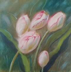 Тюльпаны белые розовые