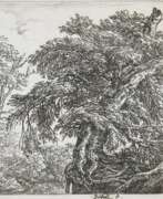Якоб ван Рёйсдал. Ruisdael, Jacob Isaackszoon