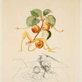 Salvador Dalí. Abricot chevalier (Aus: Flordali / Les Fruits) - Foto 1