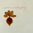 Joseph Beuys. Laßt Blumen sprechen - Auction Items