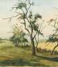 Felix Meseck