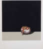 Dietmar Ullrich