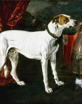 Jan Fyt (1611 - 1661)