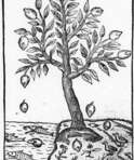 Клод Дюре (1570 - 1611) - фото 1
