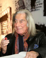 Fabrizio Plessi (1940)