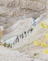 Magdalena Abele (1986)