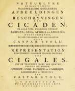 Caspar Stoll