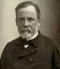 Louis Pasteur