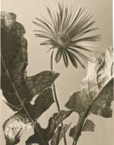Max Baur (1898 - 1988)