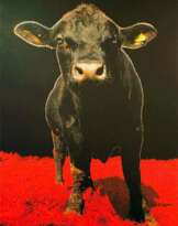 Stefan Waibel (1970)