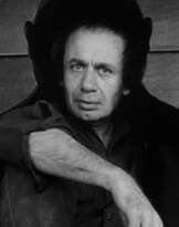 Vito Acconci (1940 - 2017)