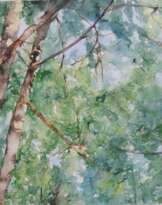 Летнее солнце и крона