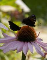 фотопейзажи