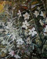 Душистый табак