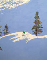 SNOW HILLS SNOW HILLS