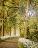 Дорога через летний лес