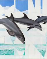 Tursiops truncatus  Tursiops truncatus