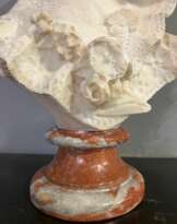 19th Century Bust of a Young Lady in White Marble by Flli Romanelli 19th Century Bust of a Young Lady in White Marble by Flli Romanelli