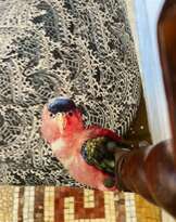 Unique and Large Carved Oak Armchair in Modern Fabric in the Style of Louis XIII