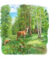 Лес летом Лес летом