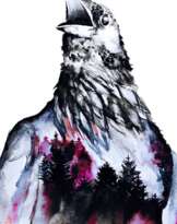 Шторм в тишине Шторм в тишине