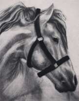 Мечты о свободе Мечты о свободе