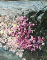 Орхидея Орхидея