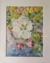 Apple blossom Apple blossom
