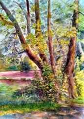Tree over the lake Nivki. Watercolor. 30x40