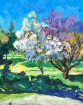 Цветущая вишня Цветущая вишня