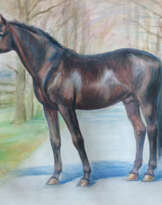 The horse The horse