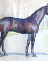 The horse The horse