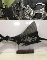 Marlin fish. Marlin fish.