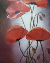 Красные маки Красные маки