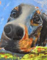 Dog Doberman Dog Doberman