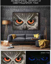 «Взгляд совы» «Взгляд совы»