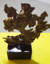 Mauris rex Midas №5 Mauris rex Midas №5