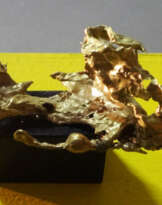Mauris rex Midas №8 Mauris rex Midas №8