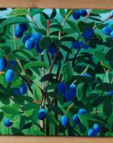 north blueberry north blueberry