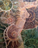 Земная Аммонита