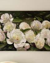 Белые пионы Белые пионы