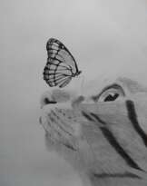 Cat and butterfly Cat and butterfly