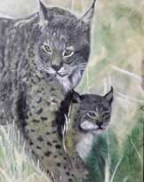 Рысь с рысёнком