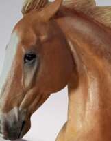 Бюст лошади скульптура Бюст лошади скульптура