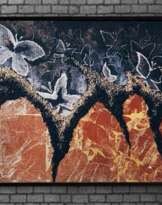 Бабочки Бабочки