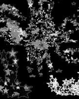 Stars' faces Stars' faces