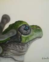 Лягушка Лягушка