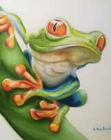 древесная лягушка древесная лягушка