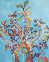 Денежное дерево Денежное дерево